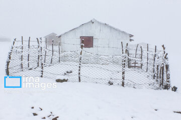 First autumn snow in Talesh, northwestern Iran