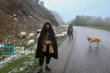 First autumn snow in Talesh, northwestern Iran