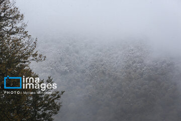 First autumn snow in Talesh, northwestern Iran