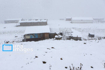 First autumn snow in Talesh, northwestern Iran