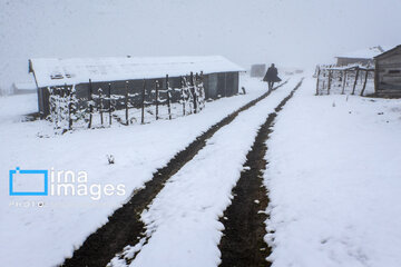 First autumn snow in Talesh, northwestern Iran