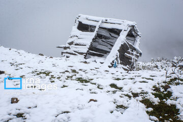 First autumn snow in Talesh, northwestern Iran