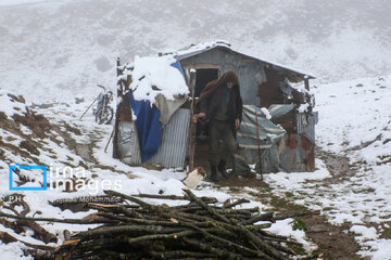 First autumn snow in Talesh, northwestern Iran