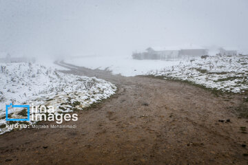 First autumn snow in Talesh, northwestern Iran