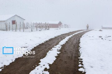 First autumn snow in Talesh, northwestern Iran