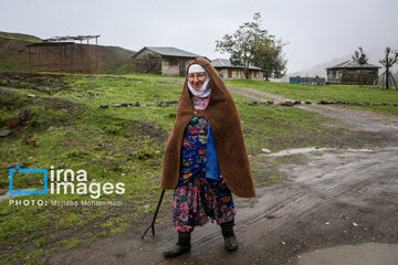 First autumn snow in Talesh, northwestern Iran