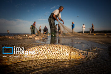 fishing