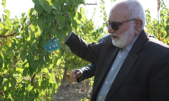 رییس کمیته امداد کشور: جشن خودکفایی ۱۱۰ هزار مددجو تا پایان سال برگزار میشود