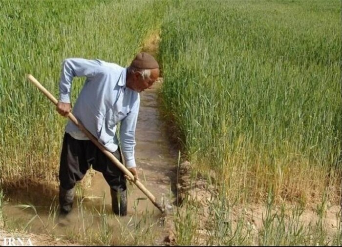 ترنم آسمان و برق شادی در چشم کشاورزان خراسان‌شمالی