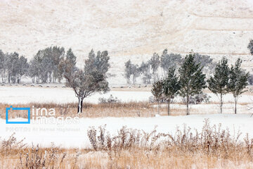 Autumn snowy day in Iran