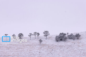 Autumn snowy day in Iran