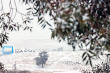 Autumn snowy day in Iran