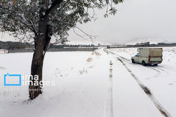 Autumn snowy day in Iran