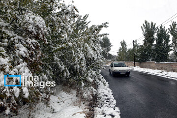 Autumn snowy day in Iran