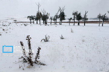 Autumn snowy day in Iran