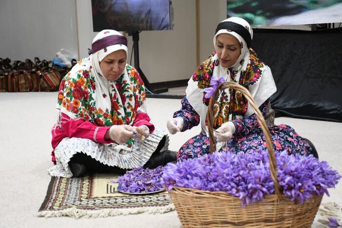  ژن زعفران خراسان جنوبی حفاظت شود