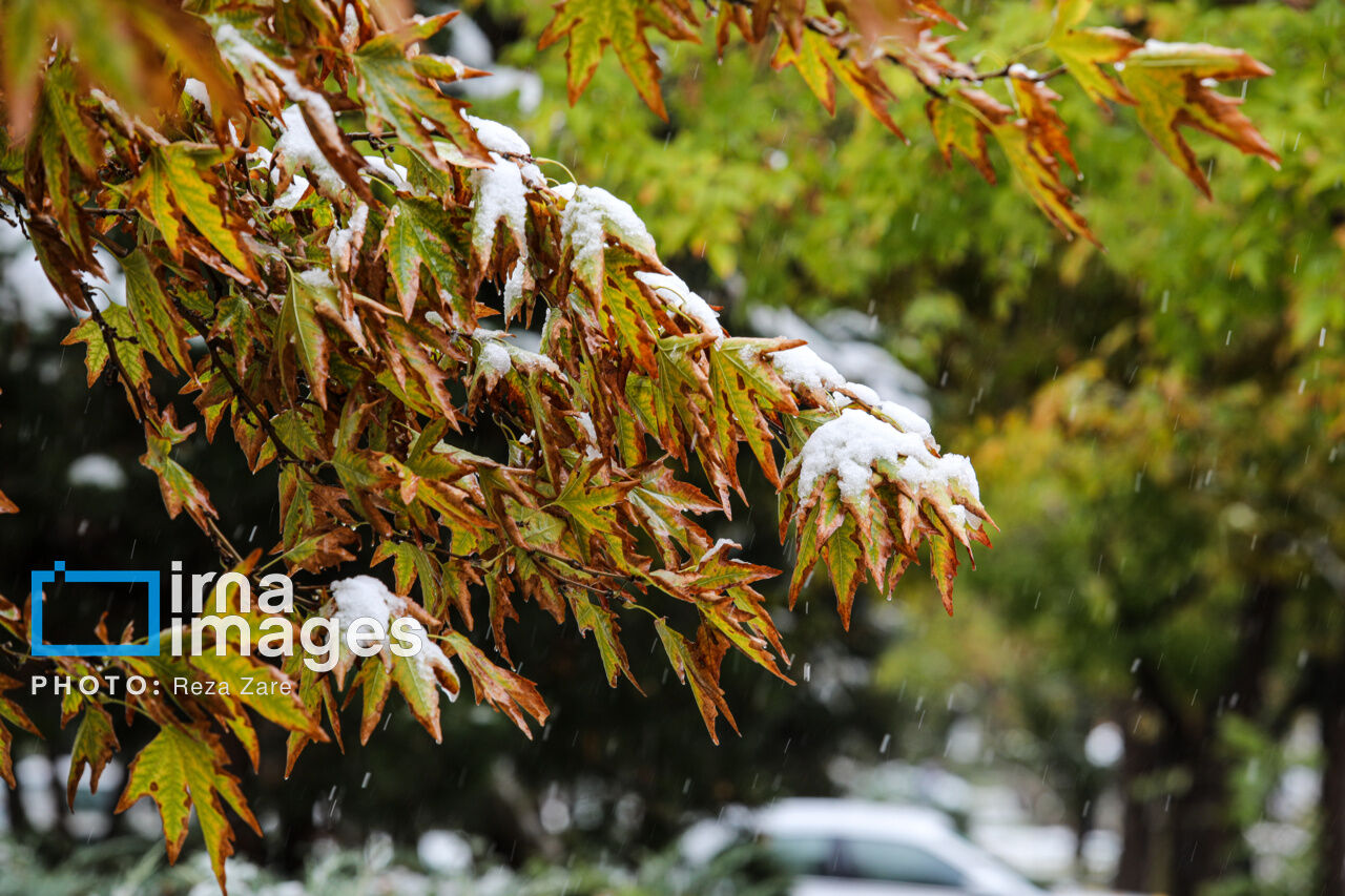 First autumn snow in Ardabil, northwest Iran