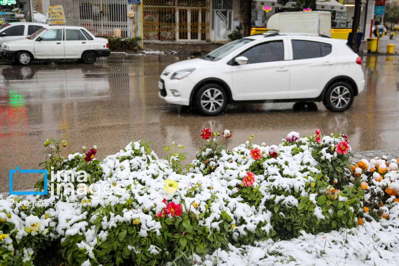 First autumn snow in Ardabil, northwest Iran