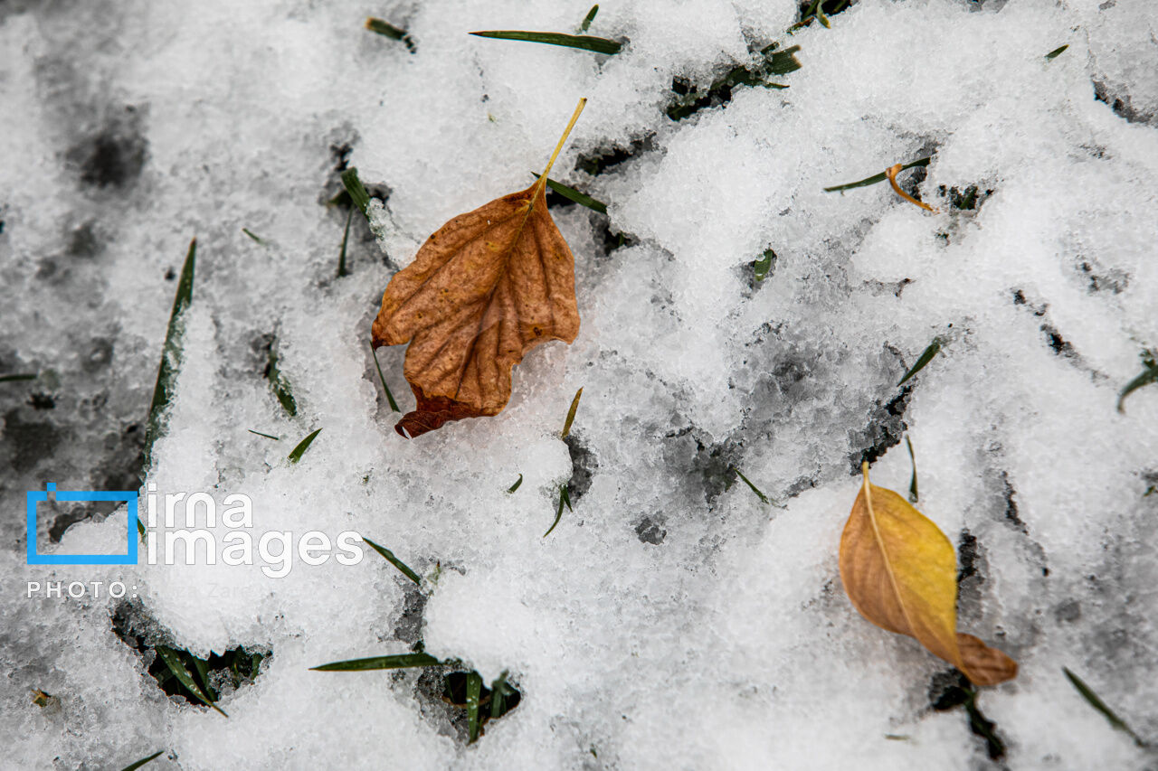 First autumn snow in Ardabil, northwest Iran