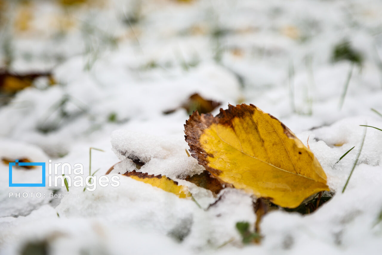 First autumn snow in Ardabil, northwest Iran