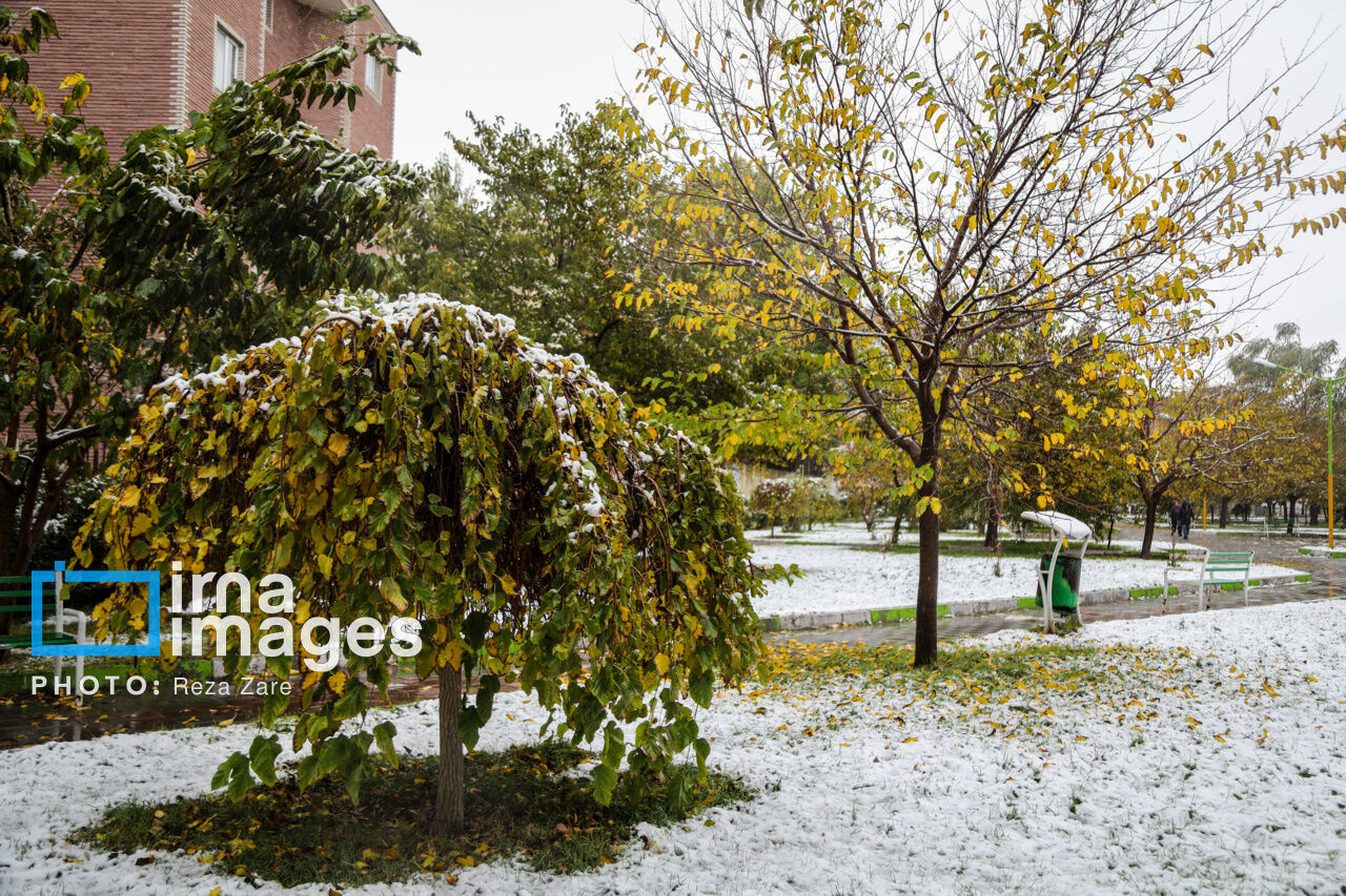 First autumn snow in Ardabil, northwest Iran