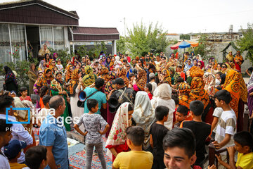 Wedding rituals, traditions among Iranian Turkmens