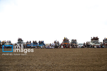 Wedding rituals, traditions among Iranian Turkmens