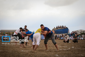 Wedding rituals, traditions among Iranian Turkmens