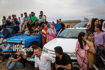 Wedding rituals, traditions among Iranian Turkmens