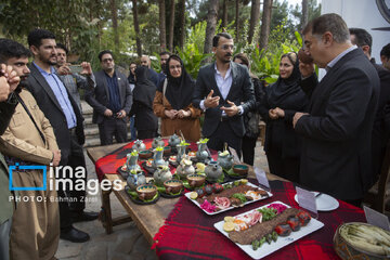 Regional food festival in western Iran Kermanshah