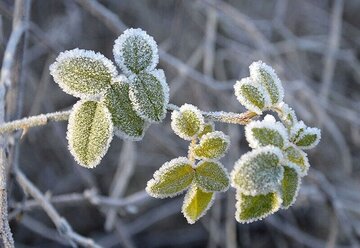 سوز سرمای پاییزی در آذربایجان‌غربی بیشتر شد