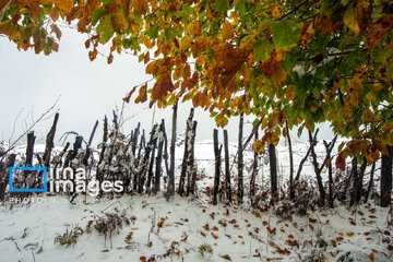 Snow in autumn in northern Iran