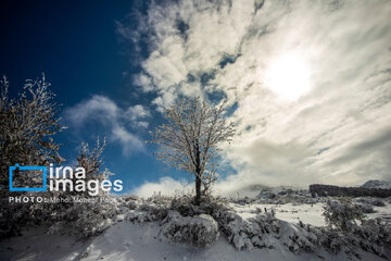 Snow in autumn in northern Iran