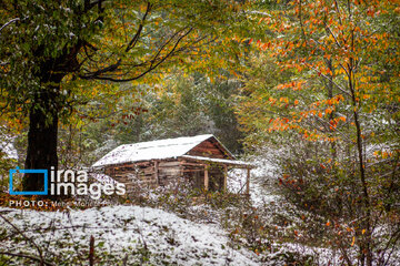 Snow in autumn in northern Iran