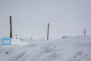 Snow in autumn in northern Iran