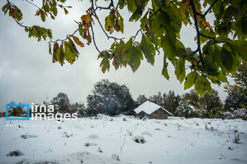 Snow in autumn in northern Iran