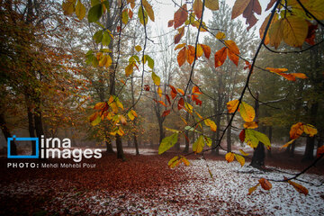 Snow in autumn in northern Iran