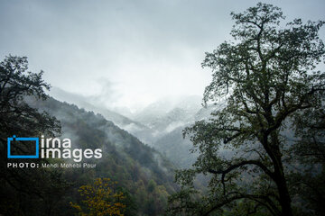 Snow in autumn in northern Iran