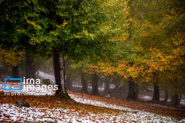 Snow in autumn in northern Iran