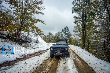 Snow in autumn in northern Iran