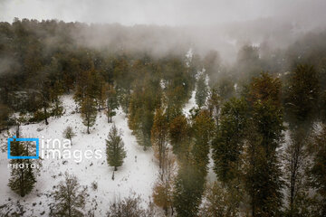 Snow in autumn in northern Iran