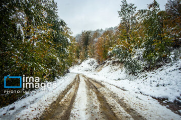 Snow in autumn in northern Iran