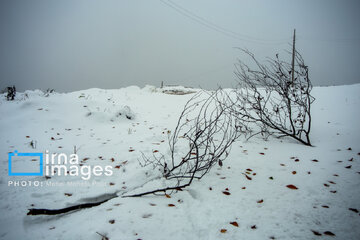 Snow in autumn in northern Iran