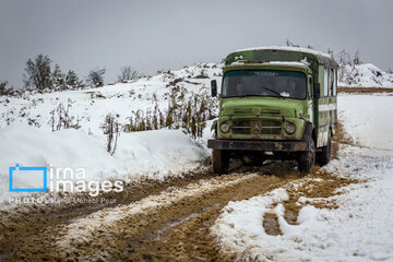 Snow in autumn in northern Iran