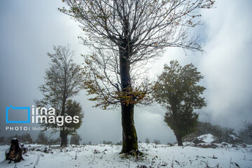 Snow in autumn in northern Iran