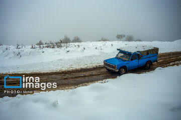 Snow in autumn in northern Iran