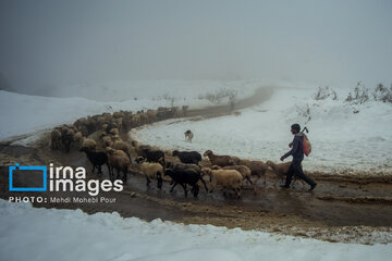 Snow in autumn in northern Iran