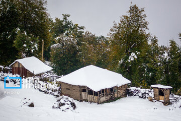 Snow in autumn in northern Iran