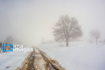 Snow in autumn in northern Iran