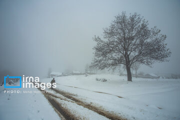 Snow in autumn in northern Iran